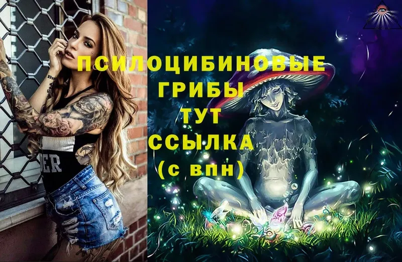 Галлюциногенные грибы Magic Shrooms  Богучар 